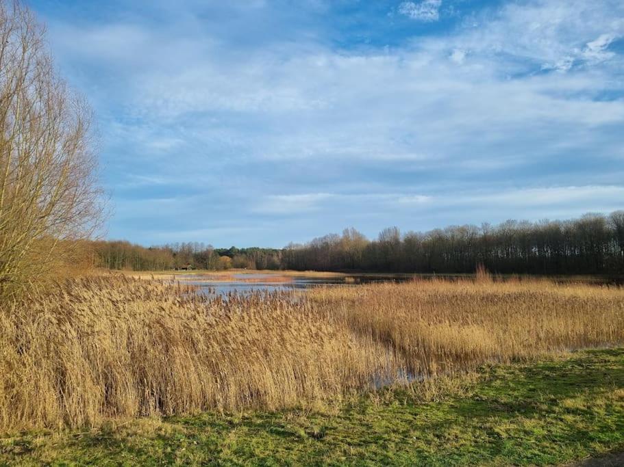 Luxe-Avontuur In Een Romantische Cabin In Het Bos Stekene Esterno foto